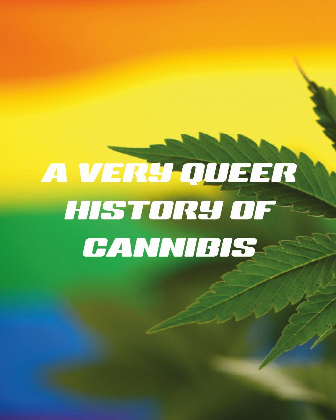 QUEER CANNABIS